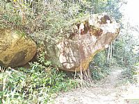 �����ʯͷ��������ĺ�Σ�հ�