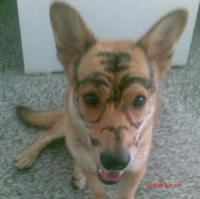 dvubb 图片点击可在新窗口打开查看