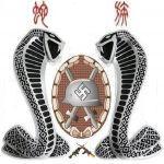 ͼƬ��������´��ڴ򿪲鿴