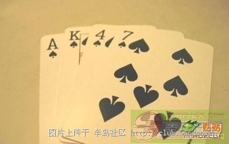 ͼƬ��������´��ڴ򿪲鿴