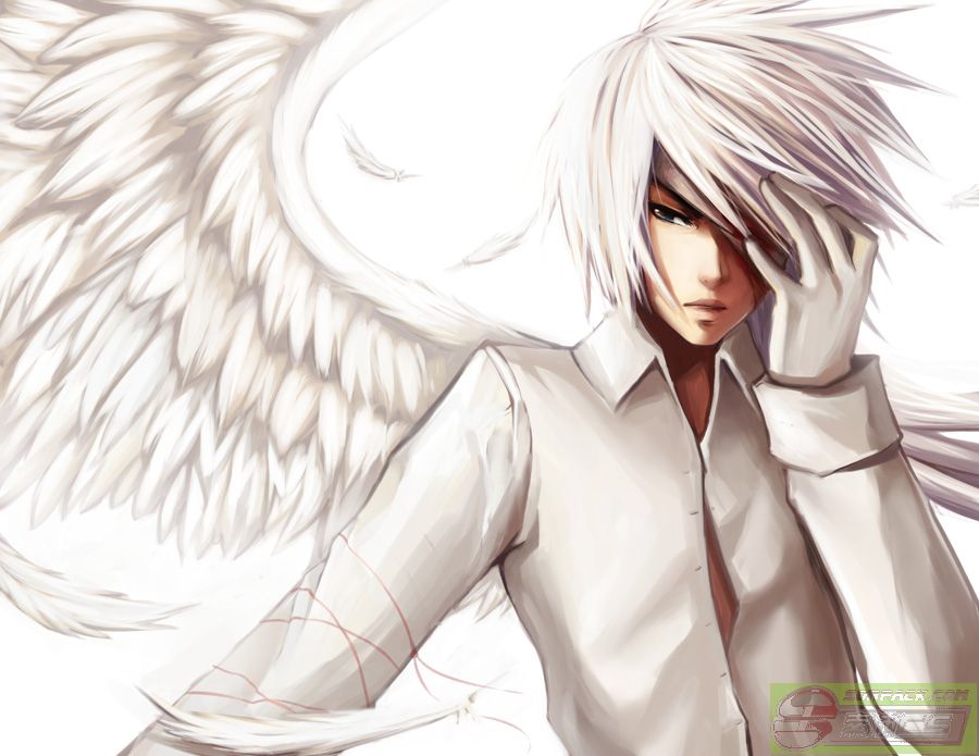 ͼƬ��������´��ڴ򿪲鿴